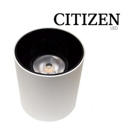  40W LED šviestuvas100Lm/W Citizen 4000K IP65 balt