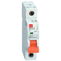 Automatinis jungiklis BKN-c 1P C 25A