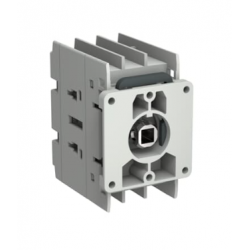 OT25G1-3DS kirtiklis panel.3P25A be ranken.1-0g+