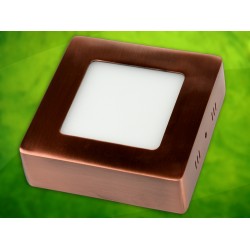 LED panelė  6W /230VAC kvadr. Rektus DLprid. Žalva