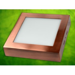 LED panelė 12W/230VAC kvadr.Rektus WW prid.Žalvar.