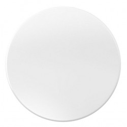 LED šviest 24W 2500Lm 4000K ø330x60 v/t Milky