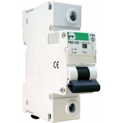 PF  C80A aut jungiklis FB3-125 1P EVO