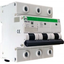 PF 3100C aut jungiklis FB3-125 3P EVO