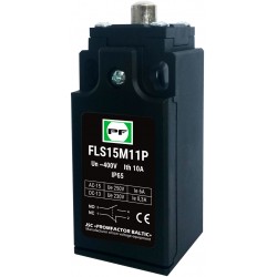 Galinis jungiklis FLS15 M11P IP-65 NO+NC
