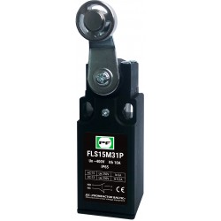 Galinis jungiklis FLS15 M31P IP-65 NO+NC