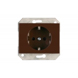 Lizdas RP16-002-02 XP500 b/r.su įž.rud. XP/R