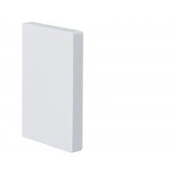 Galinis dangtelis 100x65 BRP RAL9010