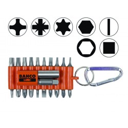 Antgalikų komplektas SL+2 su dėkle