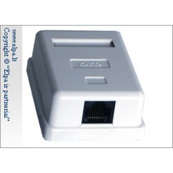 Lizdas SWS-5E-1U-50 kompiuterinis 1v