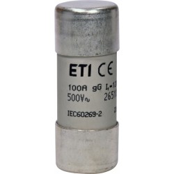 Saugiklis cilindrinis 100A 22x58