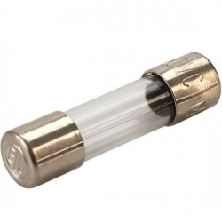 Saugiklis stiklinis 1.0A/250V 5x20 F