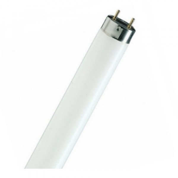 36W/865 G13 liuminisencinė lempa Philips