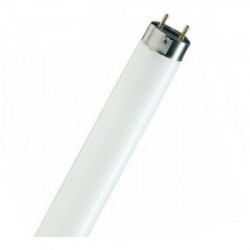 58W/F840 lempa liuminisencinė Bellight