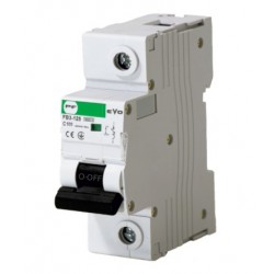FB3-125 1P C 100A 10kA EVO